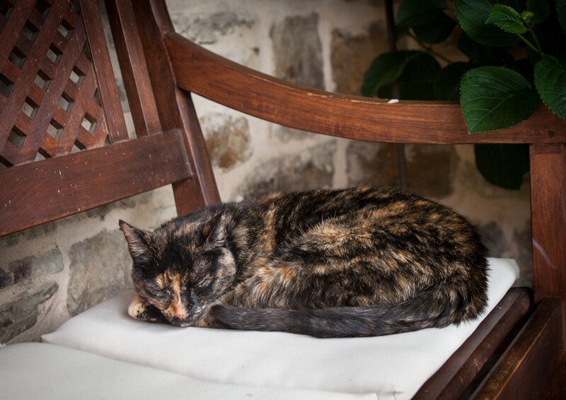 Fotode boda Bideko Amurrio-josan fotografo 2